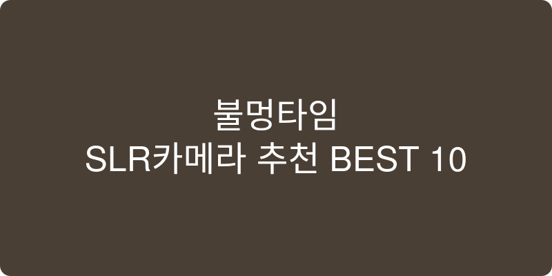 SLR카메라 추천 이미지