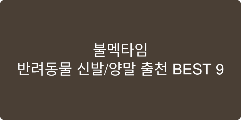반려동물 신발/양말 추천 이미지