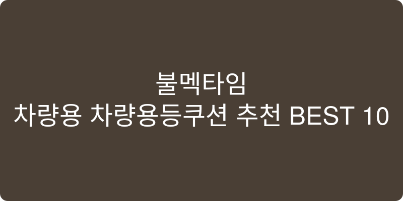 차량용 차량용등쿠션 추천 이미지