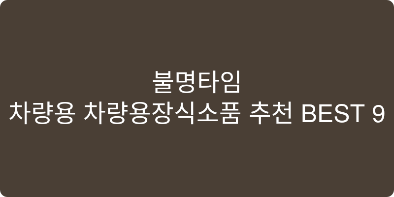 차량용 차량용장식소품 추천 이미지