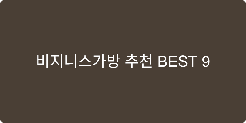 비지니스가방 추천 이미지