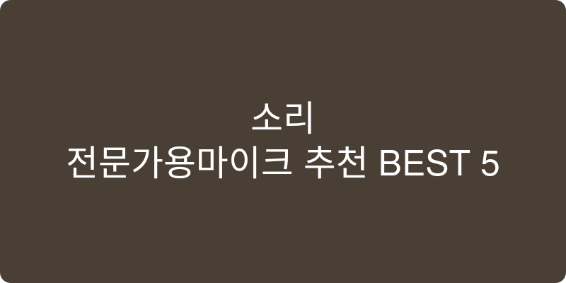 전문가용마이크 추천 이미지