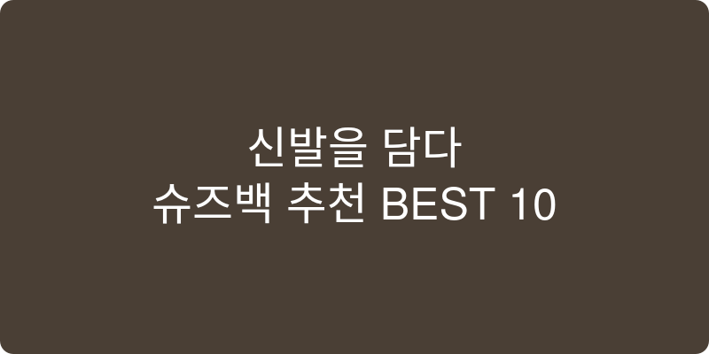 슈즈백 추천 이미지