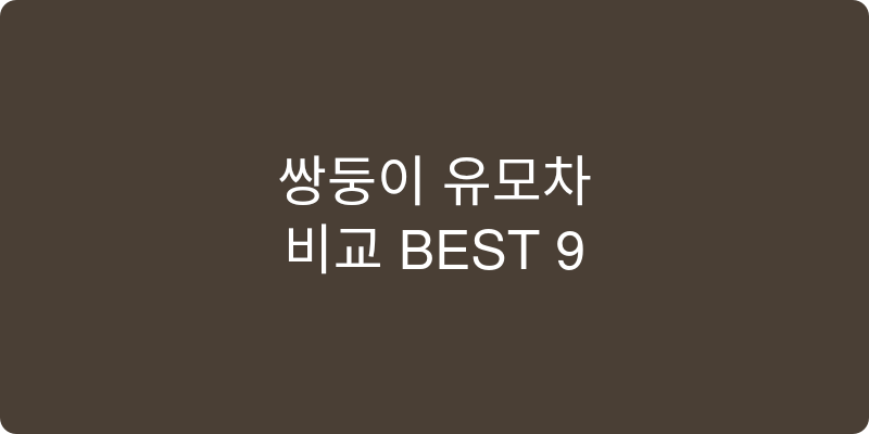 쌍둥이용 유모차 추천 이미지