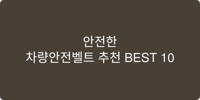 차량안전벨트 추천 이미지