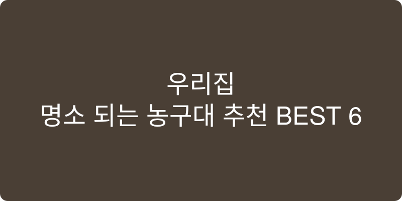 농구대 추천 이미지
