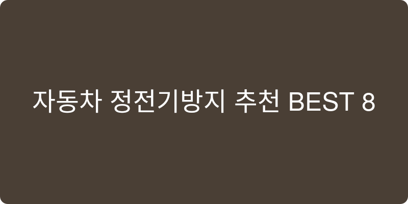 자동차 정전기방지 추천 이미지