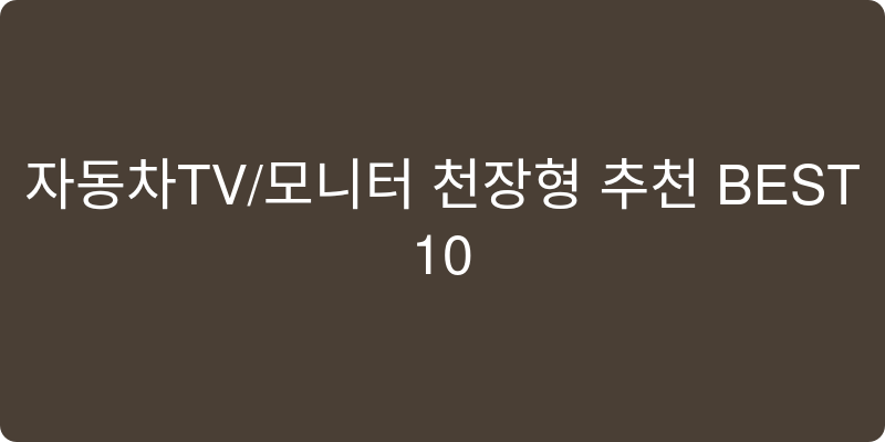 자동차TV/모니터 천장형 추천 이미지
