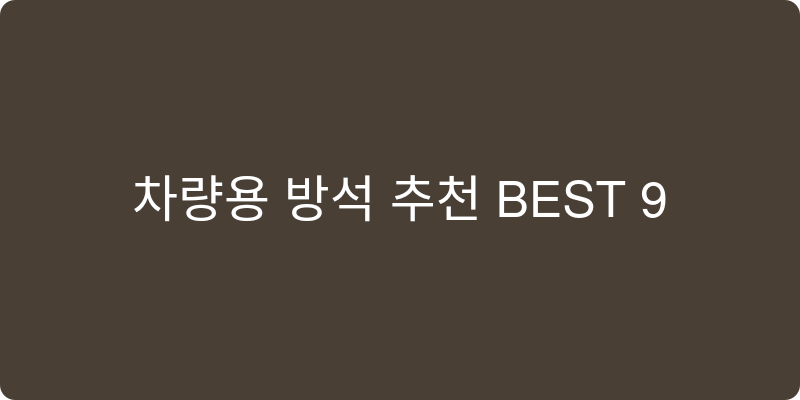 차량용방석 추천 이미지