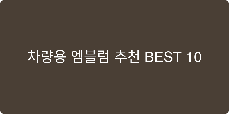 차량용 엠블럼 추천 이미지