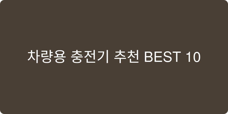 차량용 충전기 추천 이미지