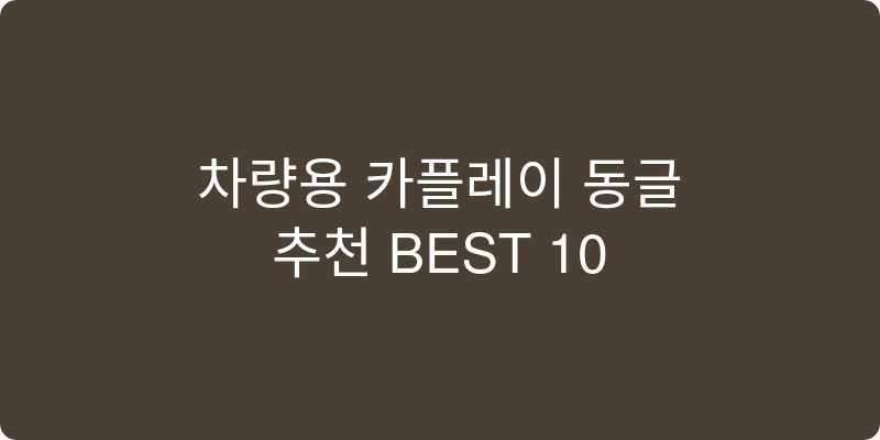 카플레이 동글 추천 이미지