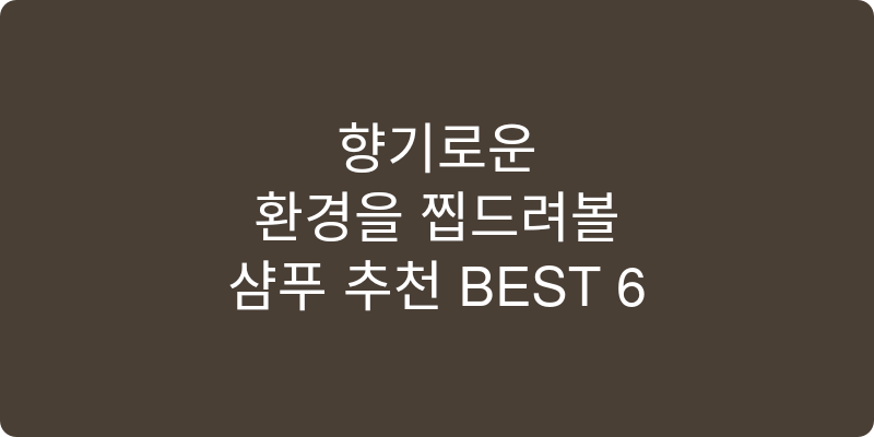 샴푸 추천 이미지