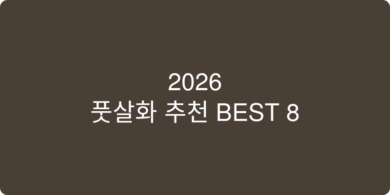 풋살화 추천 이미지