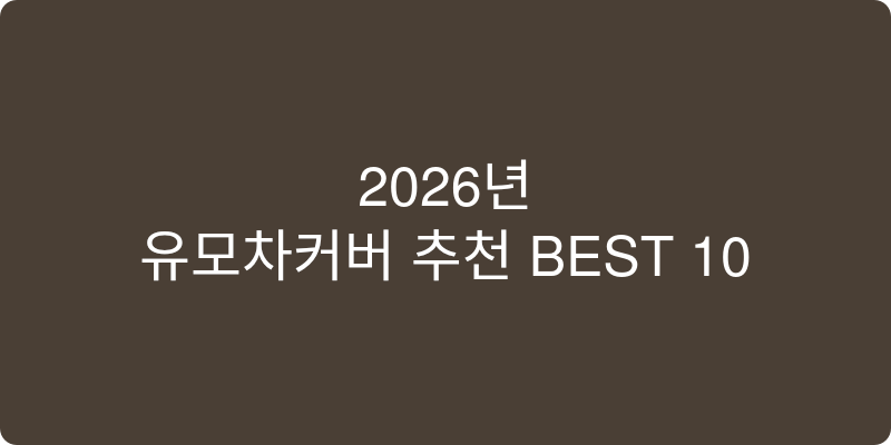 유모차커버 추천 이미지