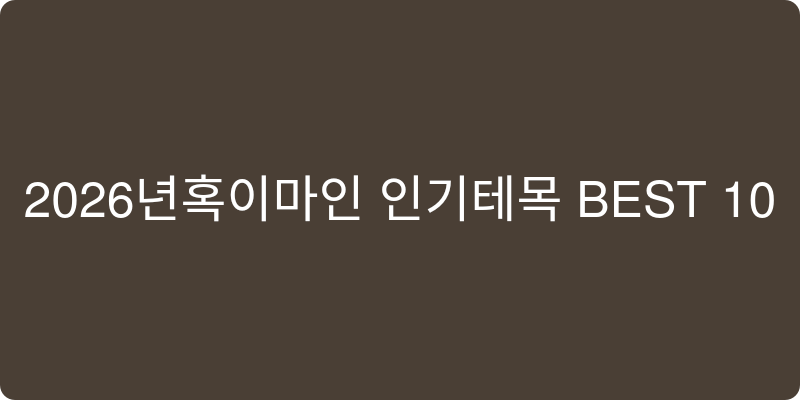 2026년 인기템 추천 이미지