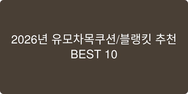 유모차목쿠션/블랭킷 추천 이미지