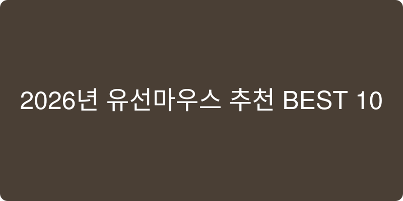 2026년 유선마우스 추천 이미지