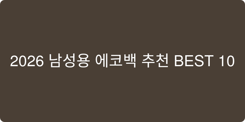 2026년 남성용 에코백 추천 이미지