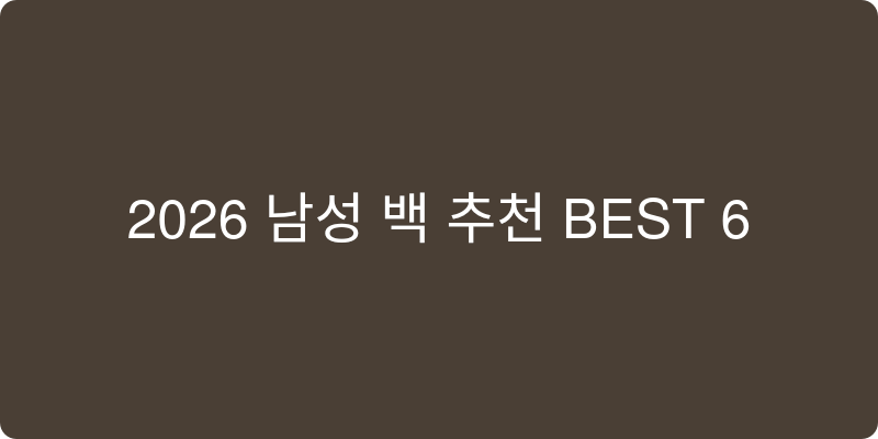 2026년 남성용 가방 추천 이미지