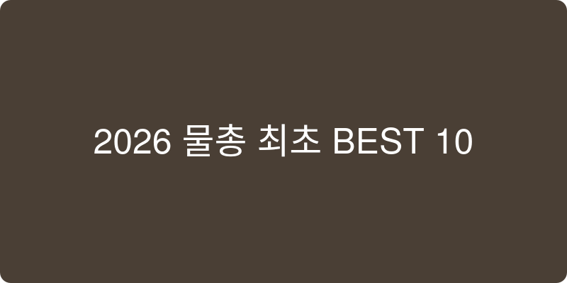2026년 물총 추천 이미지