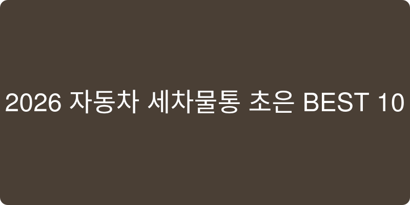 자동차 세차물통 추천 이미지