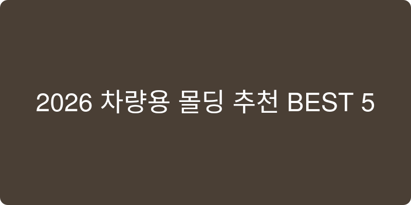 차량용 몰딩 추천 이미지