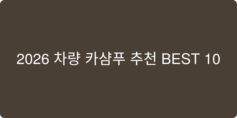 자동차 카샴푸 추천 이미지