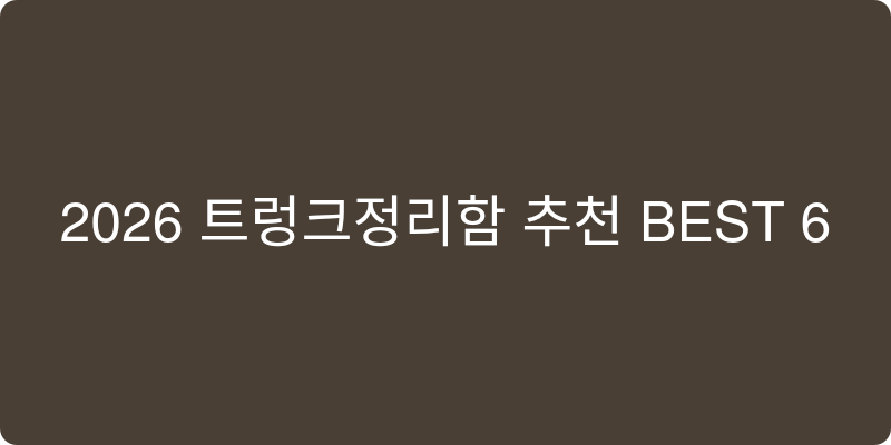 트렁크정리함 추천 이미지