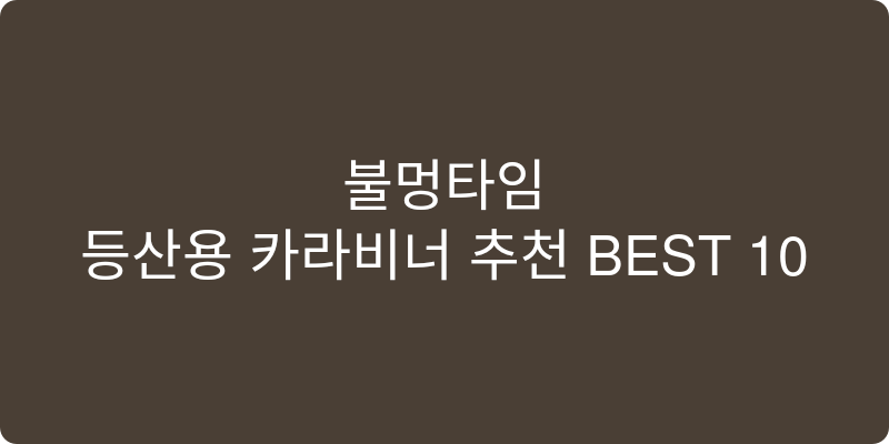 등산용 카라비너 추천 이미지