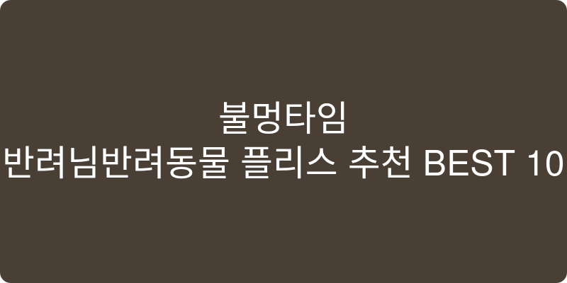 반려동물 플리스 추천 이미지
