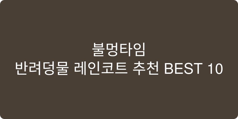 반려동물 레인코트 추천 이미지