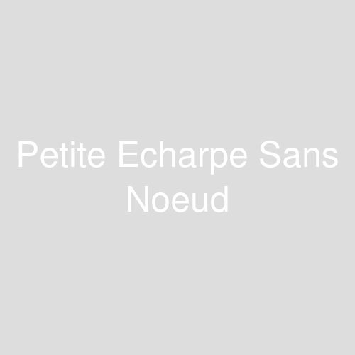 Une image représentant le produit Petite Echarpe Sans Noeud