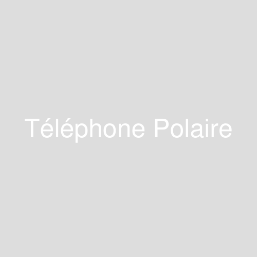 Une image représentant le produit Téléphone Polaire 