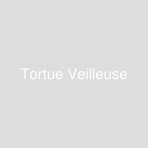 Une image représentant le produit Tortue Veilleuse
