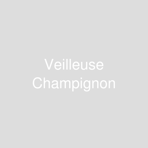 Une image représentant le produit Veilleuse Champignon