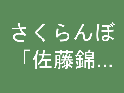 さくらんぼ「佐藤錦」秀品 1kg（500g×2）