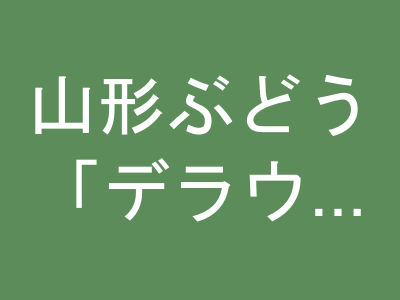 山形ぶどう「デラウェア」2kg