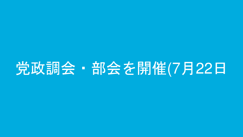 党政調会・部会を開催(7月22日)
