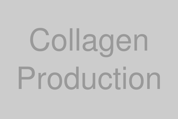 真皮層のコラーゲン生成イメージ