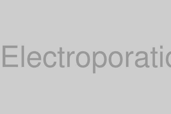 エレクトロポレーション導入イメージ