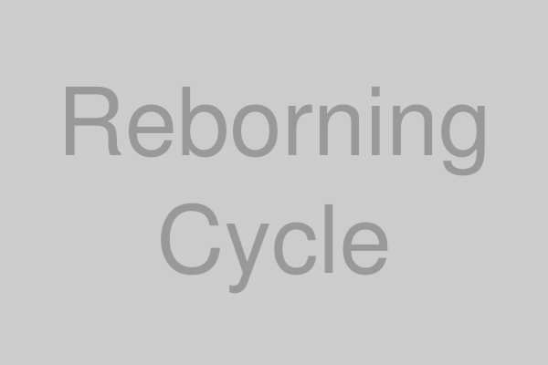 リボーニングのメカニズム図