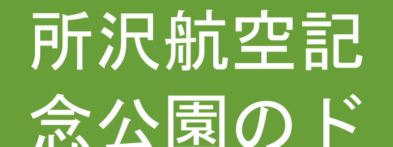 所沢航空記念公園のドッグラン