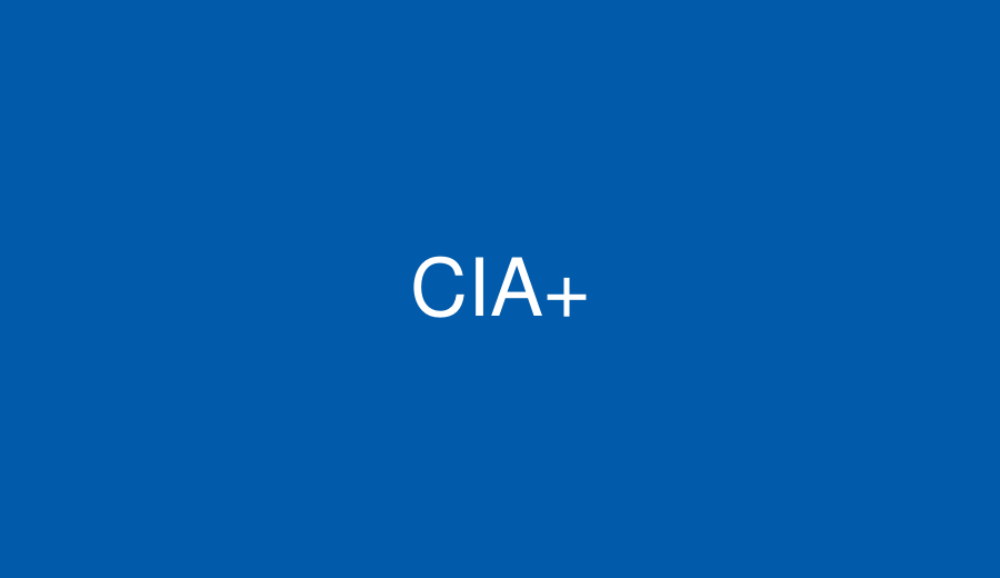 Certified Industrial Accountant Plus