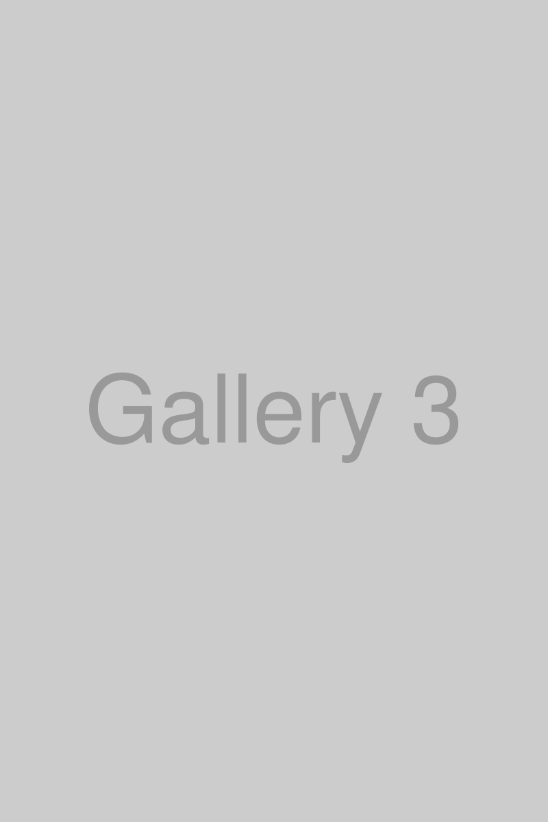 Gallery 3
