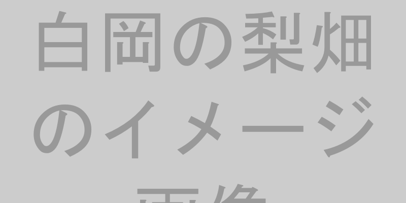 白岡の梨畑のイメージ画像