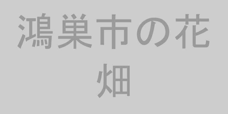 鴻巣市の花畑のイメージ画像
