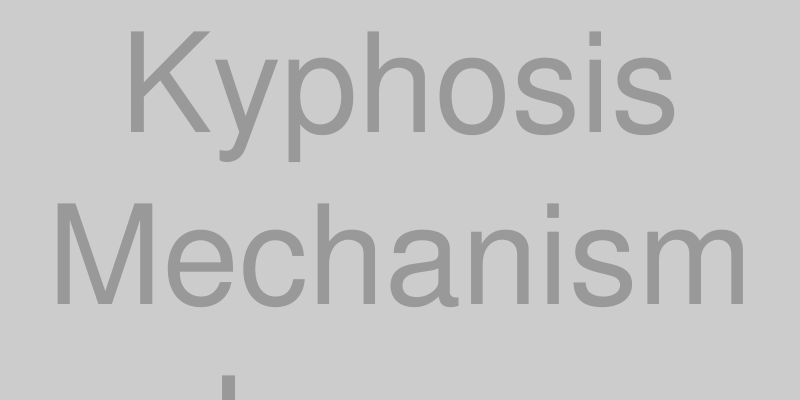 PC作業中の猫背と筋肉の緊張の図解