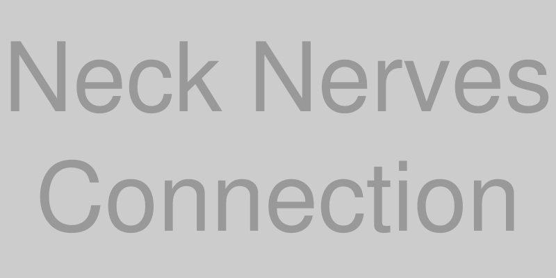 首の神経と三叉神経のつながりの図解