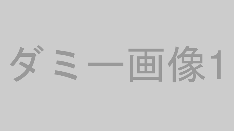 ダミー画像